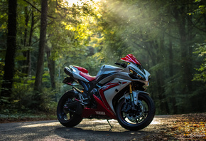 Yamaha, R1, , , ,  