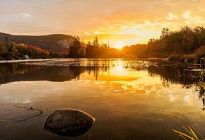 �����, �����, ���