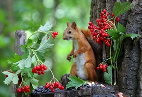 , , , , , , , , ,  ...