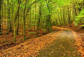 ���, ������