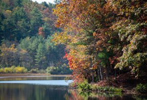 ����, �������, �����, �����