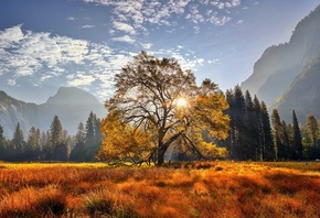 , , , , , , ,  , , Yosemite, National Park, , 