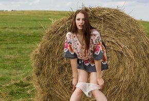 �������, �����, �����������, �������