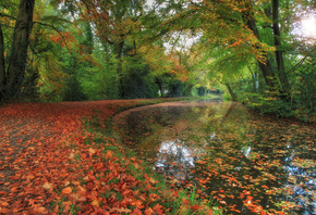 �����, ����, ������