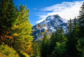 Швейцария, Осень, Горы, Gryon, Альпы, Деревья, Природа