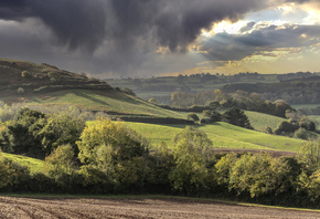 �����, ����, �������, ������