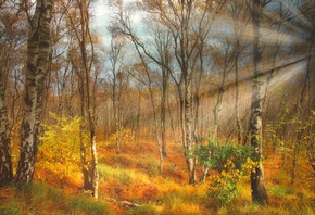 ���, ������, �����