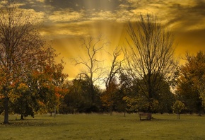 �����, �����, ����