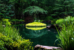 ����, �������, ����