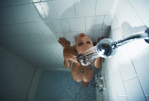 �������, ���, ����