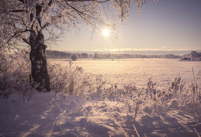 �������, ������, ����, ������, ����, ����