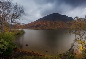 �����, �������, ��������, ����� ��������