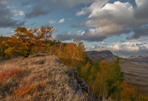 пейзаж, деревья, трава, горы, осень, фотограф, Александр Макеев