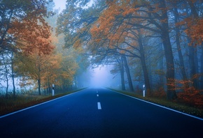 ���, ����, ������, �������, �����