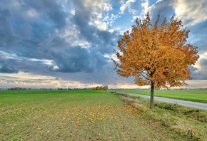 ������, ������, ������, ����, �����