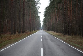 �����, ���