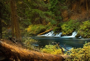 �������, ���, �������, ���, ������, ����, �����