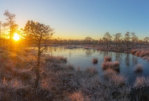 морозное утро, поздняя осень, рассвет, болото, фотограф, павел Ващенков