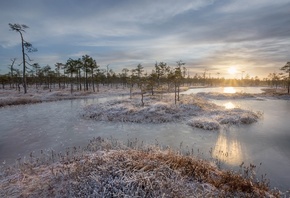 ������, �������, ����� ��������