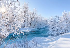 ����, ����, ����