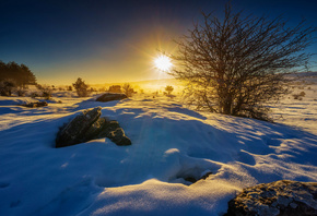 ����, ����, �������, ������