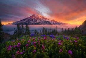 , , , , , , , , , ,  , National Park, Mount Rainier, -