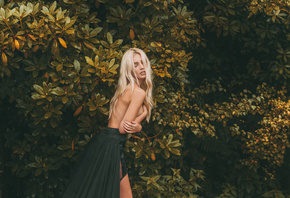 ���������, ����, �������