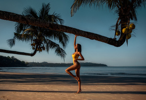 women, beach, sand, sea, brunette, women outdoors, palm trees, ass, tattoo, one-piece swimsuit