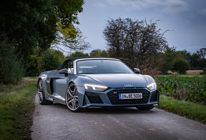 Audi, R8, V10, performance, Spyder, 2020, 