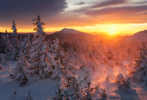 ����, ����, ����