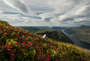 ��������, ����, ������, �����, Rogaland, ������, �������