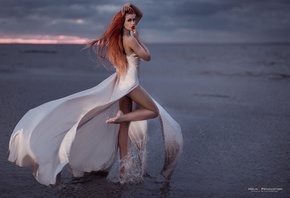 Dana Bounty, �������, �����, ������, ����, ����