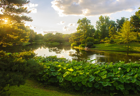 , Missouri botanical garden, 