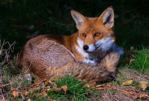 ����, �����, ������, �����, ������