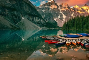 Andrea Gozzo, ���� ����