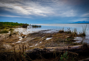 ������, Fraser, River, British, Columbia, �������