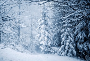 ���, �������, ����, ����, �������