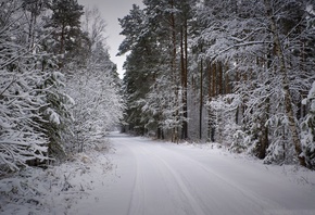 ����, ����, ���