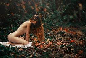 Sin Flow, ���� ����