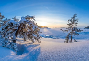 ����, ������, �������, �������, �����