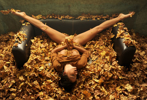 Joy Lamore, �������, ������