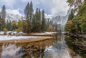 nature, forest, lake, mountains, winter