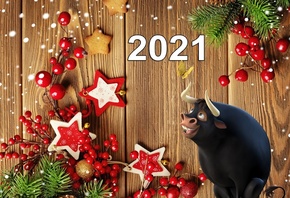 ����� ���, ����