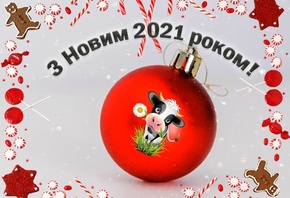 ����� ���, ����