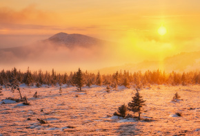 �����, ������, ����, ����, ������ �������