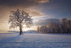 Friedrich Beren, ����, �������, ����, �������, ����, ������