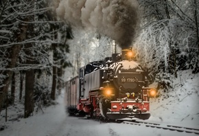 �����, ����