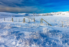 поле, снег, холмы, забор, зима