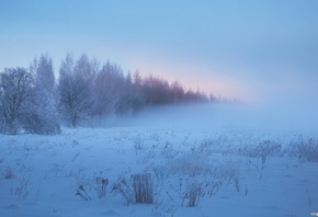 ����, ����, ���� ��������