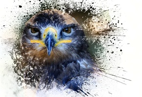 �����, ������, ���